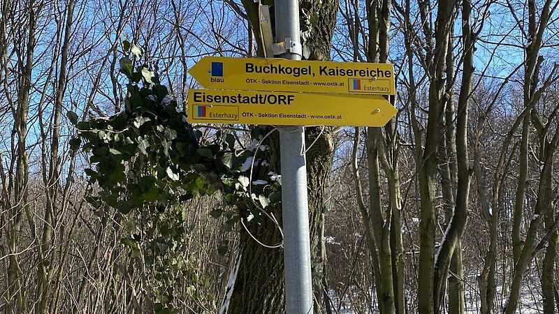 Kort