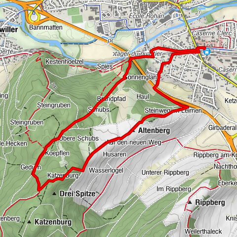 Hiking towards the Dreispitz botanical trail