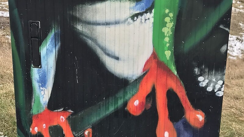 Kort