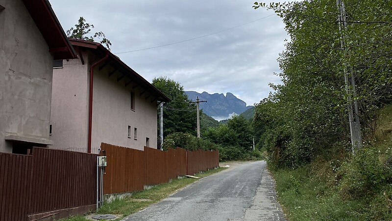 Kort