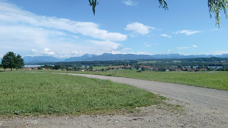 Kort