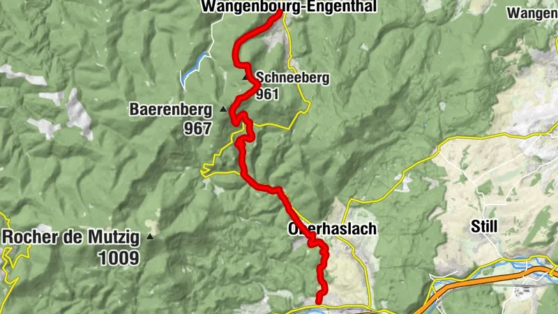 Crossing of the Vosges Massif - Stage 07 - Wangenbourg-Engenthal - Urmatt