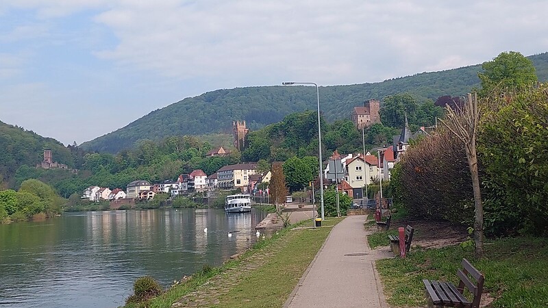 Kort