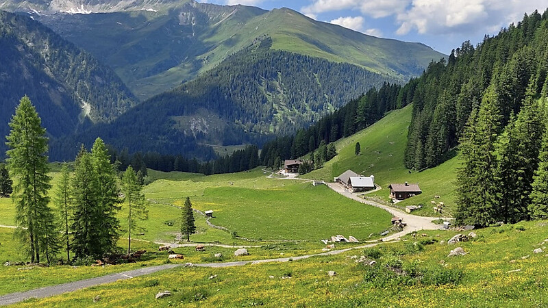 Kort