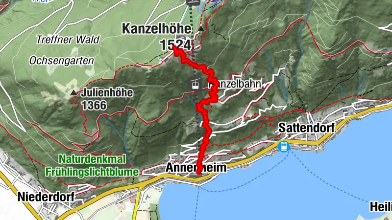 PROlitzen Trail - T34