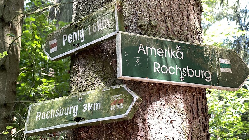 Kort