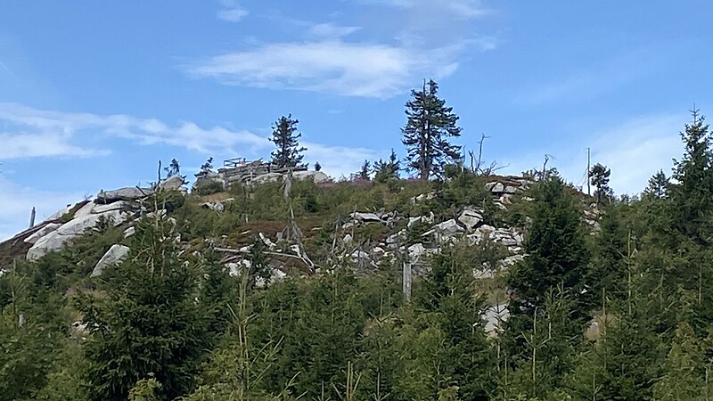 Kort