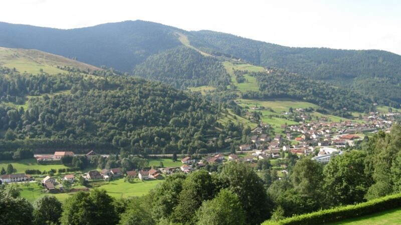 Kort