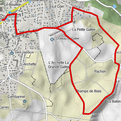 Wine trails at the heart of the vineyards