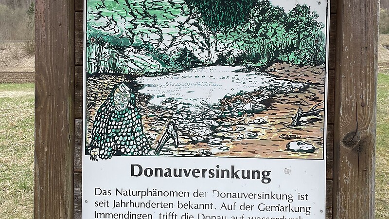 Kort