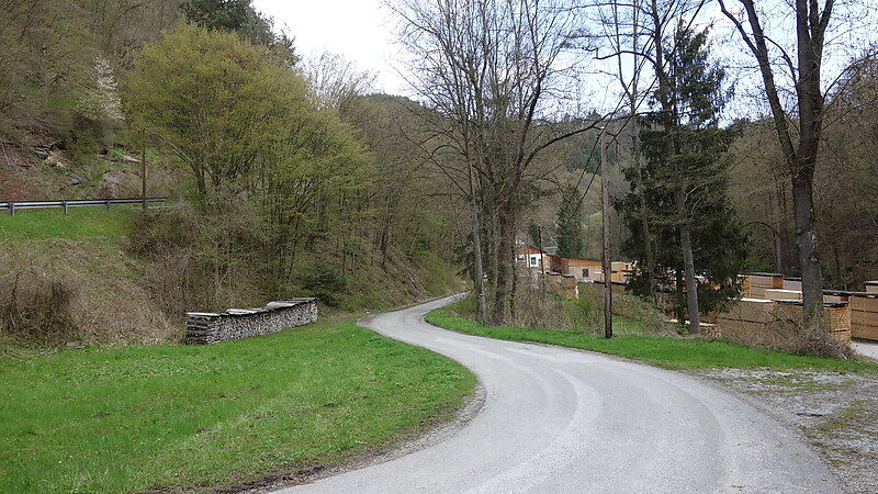 Kort