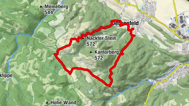 Kort