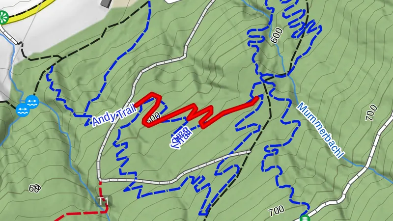 Sandy Trail - T80 (Jumpline)