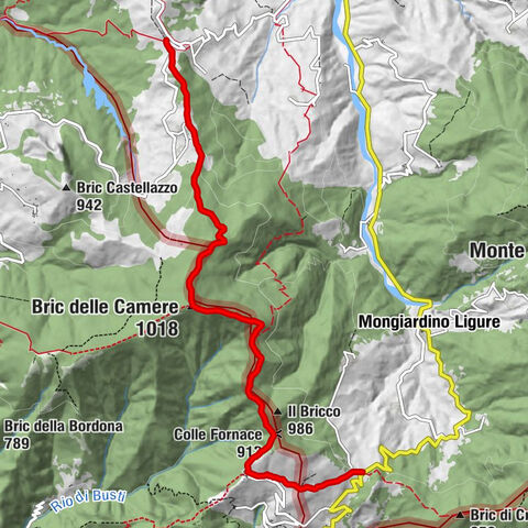 Sentiero 200 - Anello Borbera - Spinti - TAPPA 10/11 (Costa Salata Mongiardino - Borassi) in mountain bike