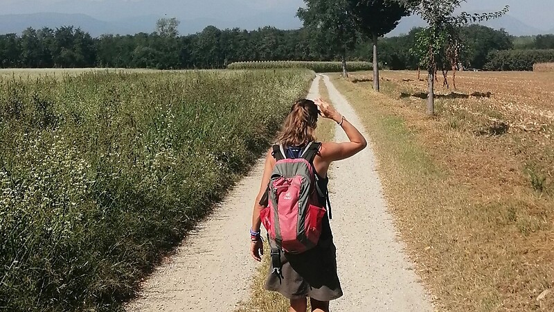 Kort