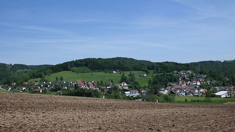 Kort