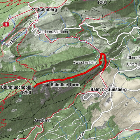 Per Ostgratwanderweg auf das Balmfluehchöpfli