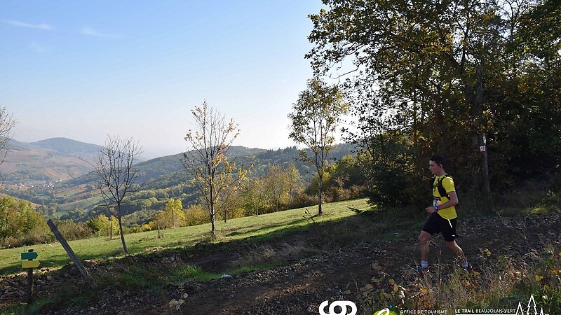 Kort