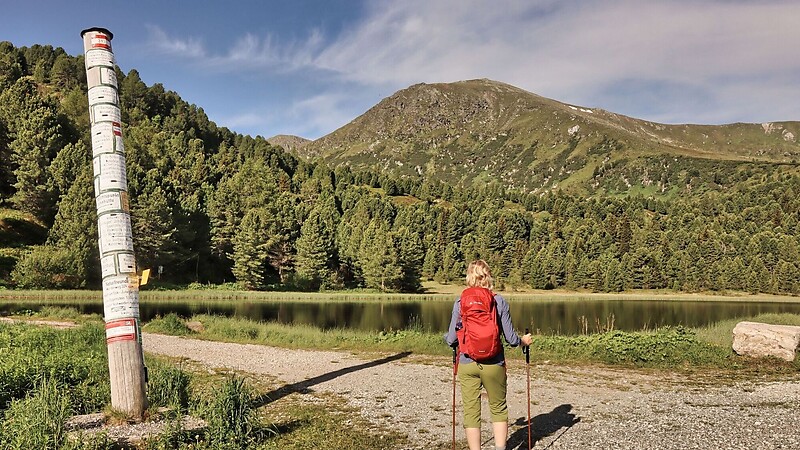 Kort