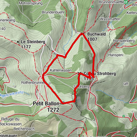 Walk Ferme-Auberge Buchwald "Listen to the bells ringing under the most beautiful beeches in the pasture"