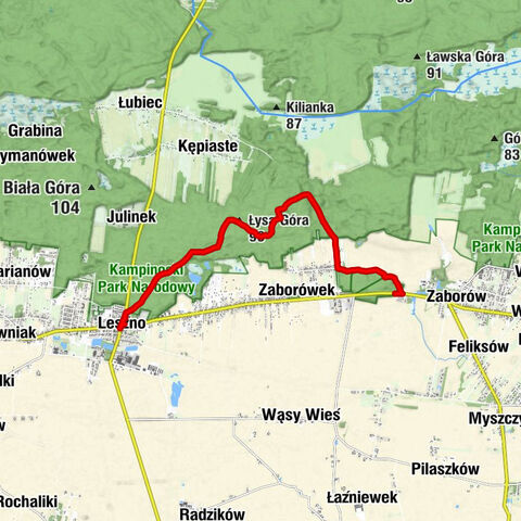 Janin - Łysa Góra - Leszno - Kościół pw. Narodzenia Świętego Jana Chrzciciela