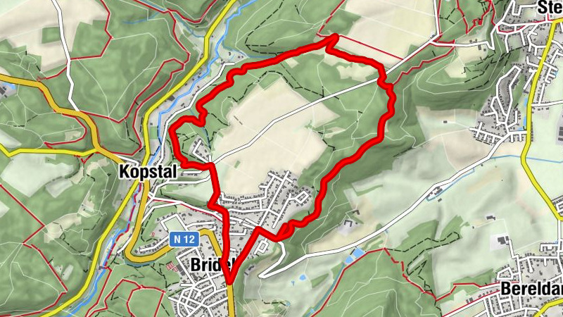 Kort