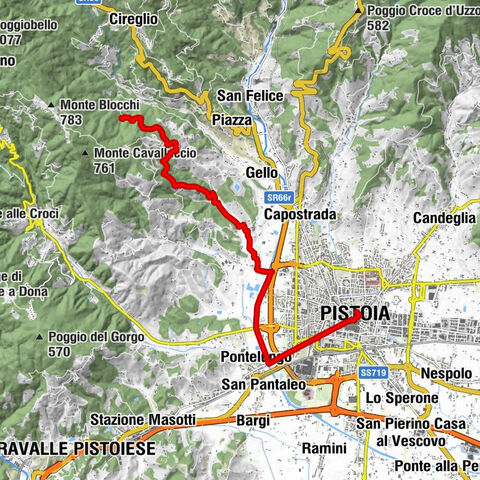 Pistoia - San Vitale - Basilica della Madonna dell'Umiltà - Santa Liberata