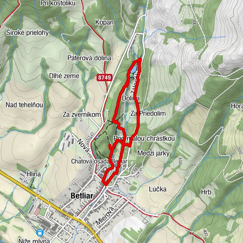 Betliar - Kostol sv. Alžbety