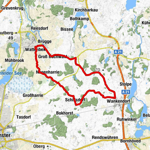 Schönhagenrunde bei 10 Grad