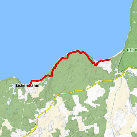 Brasseri Lickershamn - Lickershamn - Irevik