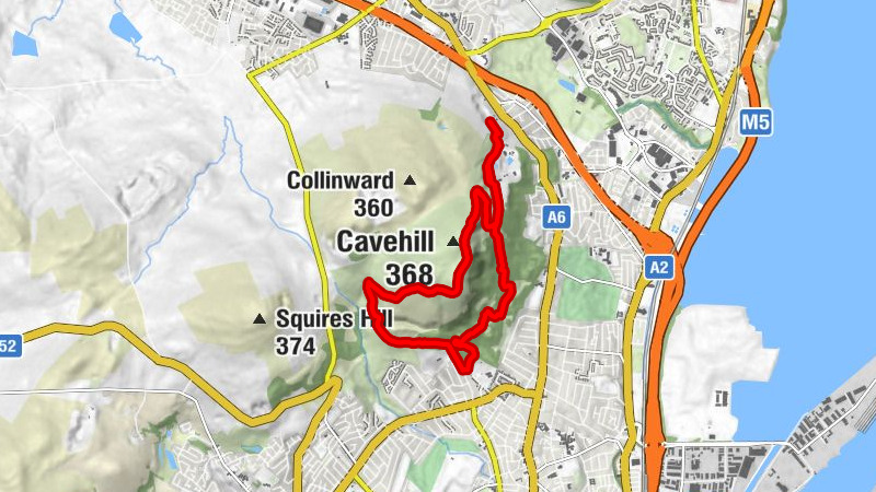 Newtownabbey - Cavehill - The Castletavern & Bistro - Low Wood