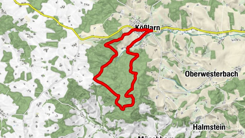 Kort