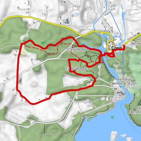 The Crowe's Nest - Cong - Saint Mary of the Rosary - Pigeon Hole