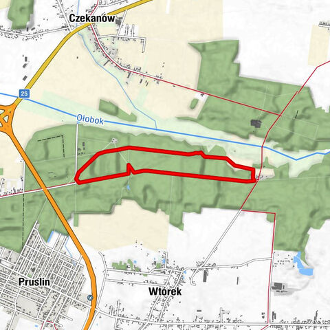 Ostrów Wielkopolski - Kąkolewo - Trąba - powiat ostrowski