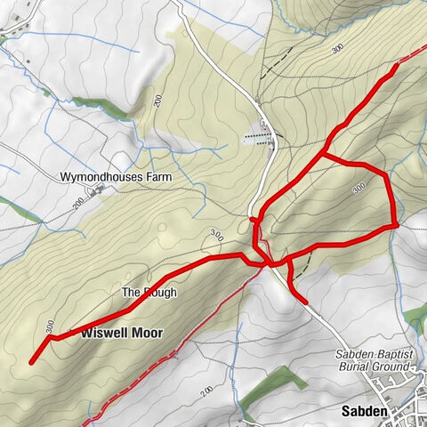 Sabden - Nick O'Pendle - The Rough - Wiswell Moor