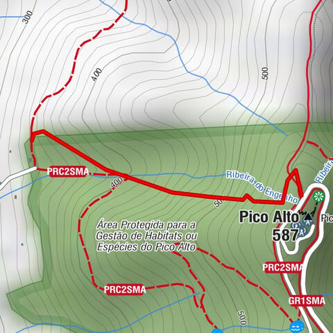 Pico Alto