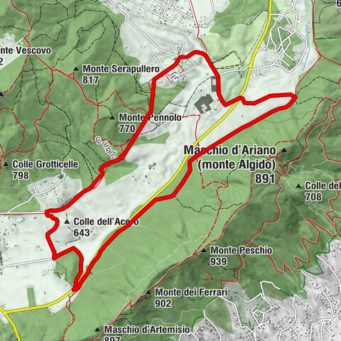 Il Noce - Velletri