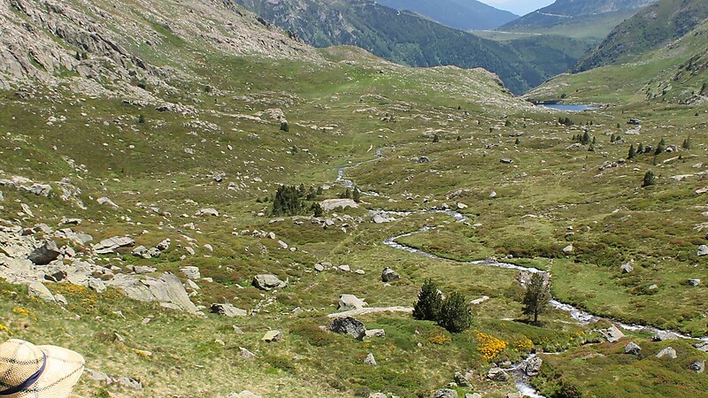 Kort