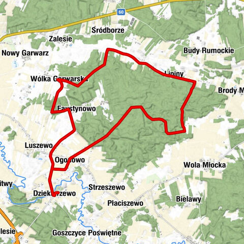 Kościół pw. Świętej Katarzyny - Dziektarzewo - Ogonowo-Świerki - Ogonowo