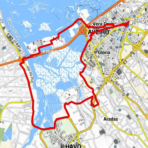 Aveiro - Igreja de São João - Capela de São Gonçalo - Igreja Nossa Senhora da Apresentação