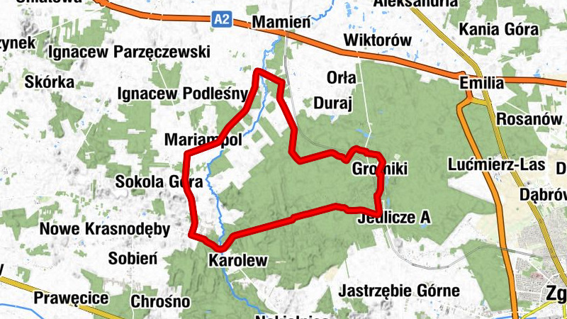 Kaktus - Grotniki - Małogórne - powiat zgierski