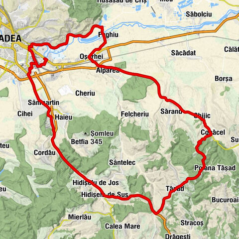 Biserica Ortodoxă - Biserica Podgoria - Biserica Nouă - Biserica Sf Treime