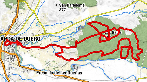 Aranda de Duero - El Mirón - Calabaza - Los Gatos