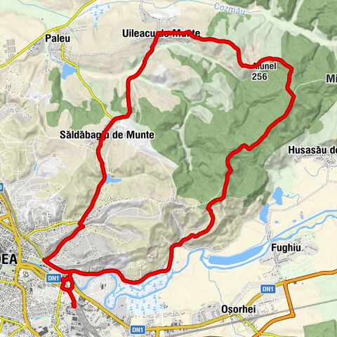 Oradea Est - Biserica Podgoria - Alunel - Nepomuki Szent János-templom