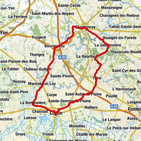 Église Notre-Dame-de-l'Assomption - Église Saint-Sauveur - La Bretonnière