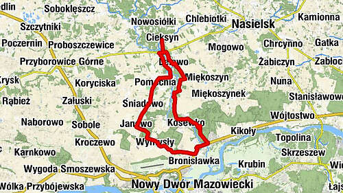 Cieksyn - Cieksynek - Borkowo - Figura Świętej Anny (patronka)