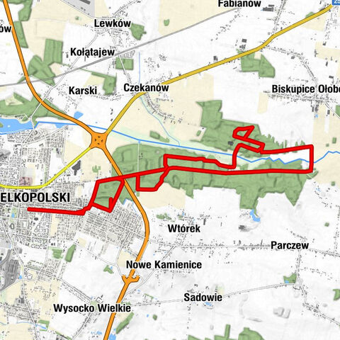 Ostrów Wielkopolski - Trąba