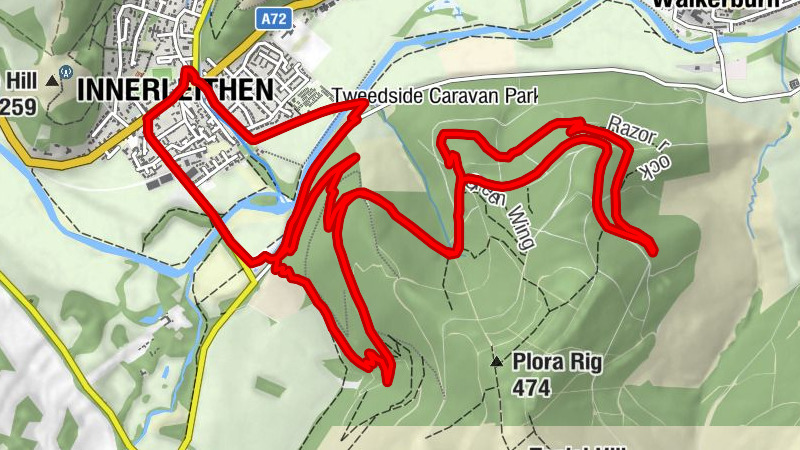 Saffron - Innerleithen - Caddonbank Wood