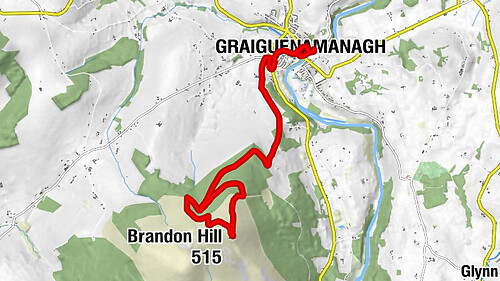 Waterside Restaurant - Brandon Hill - River Palace - Chinese and Thai Restaurant - Duiske Abbey