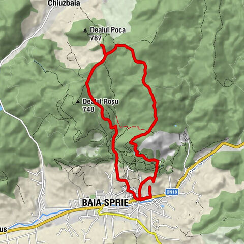 Baia Sprie - Borcut Baia Sprie